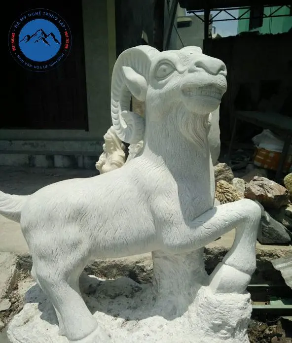 Kinh nghiệm lựa chọn dê đá phù hợp với ngân sách