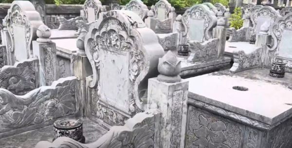 Ảnh hưởng từ các yếu tố bên ngoài môi trường