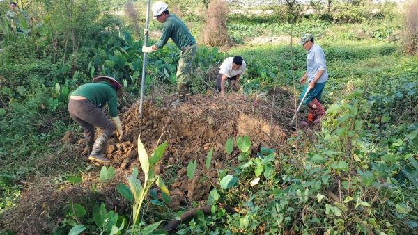 Con cháu mất sớm được phép bốc mộ trước ông bà, cha mẹ