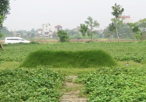 Nguyên do gây ra hiện tượng mộ kết