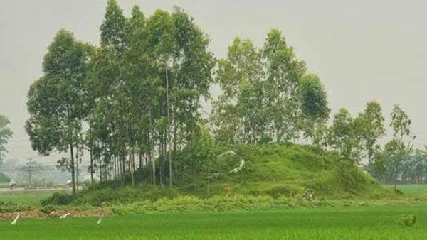 Nhận biết mộ kết trước khi tiến hành di dời
