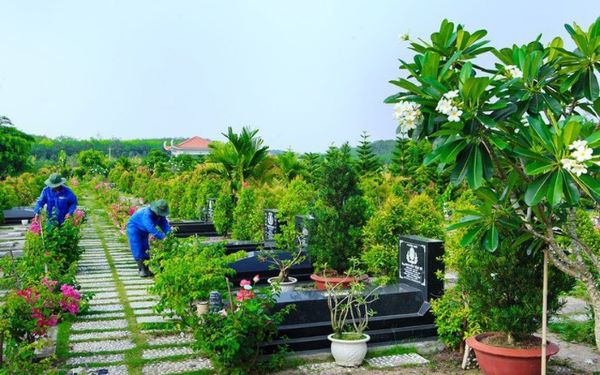 Những điều cần kiêng kỵ khi trồng cây trên mộ