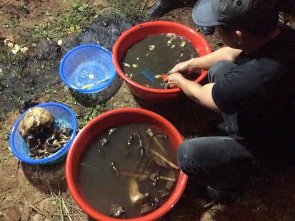 Tạm dừng để xem xét kỹ lưỡng