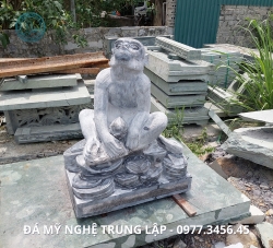 ứng dụng của con vật đá