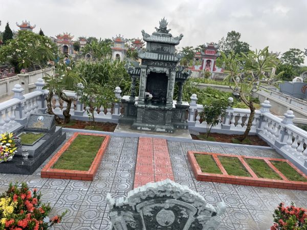 Ý nghĩa về tâm linh của cây sen đá